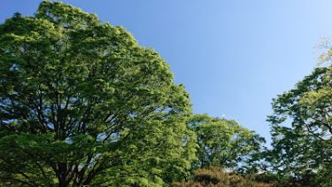 環境・社会における企業のインパクト