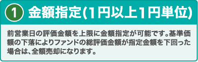 金額指定(1円以上1円単位)